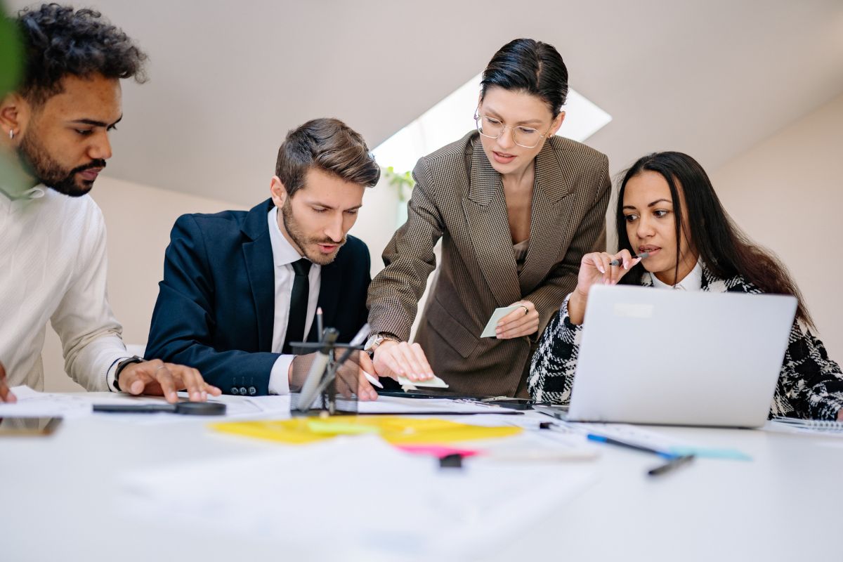 Checking References Services Toronto
